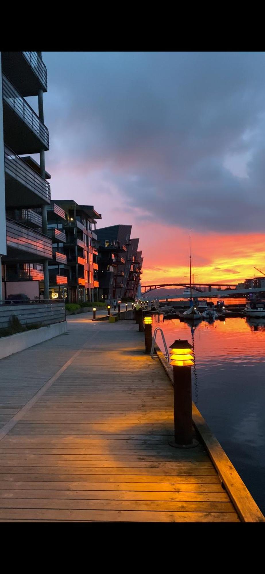 Nydelige Damsgardsveien, 3-Roms Moderne Leilighet! Bergen Kültér fotó